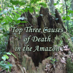 Top Three Causes of Death in the Amazon