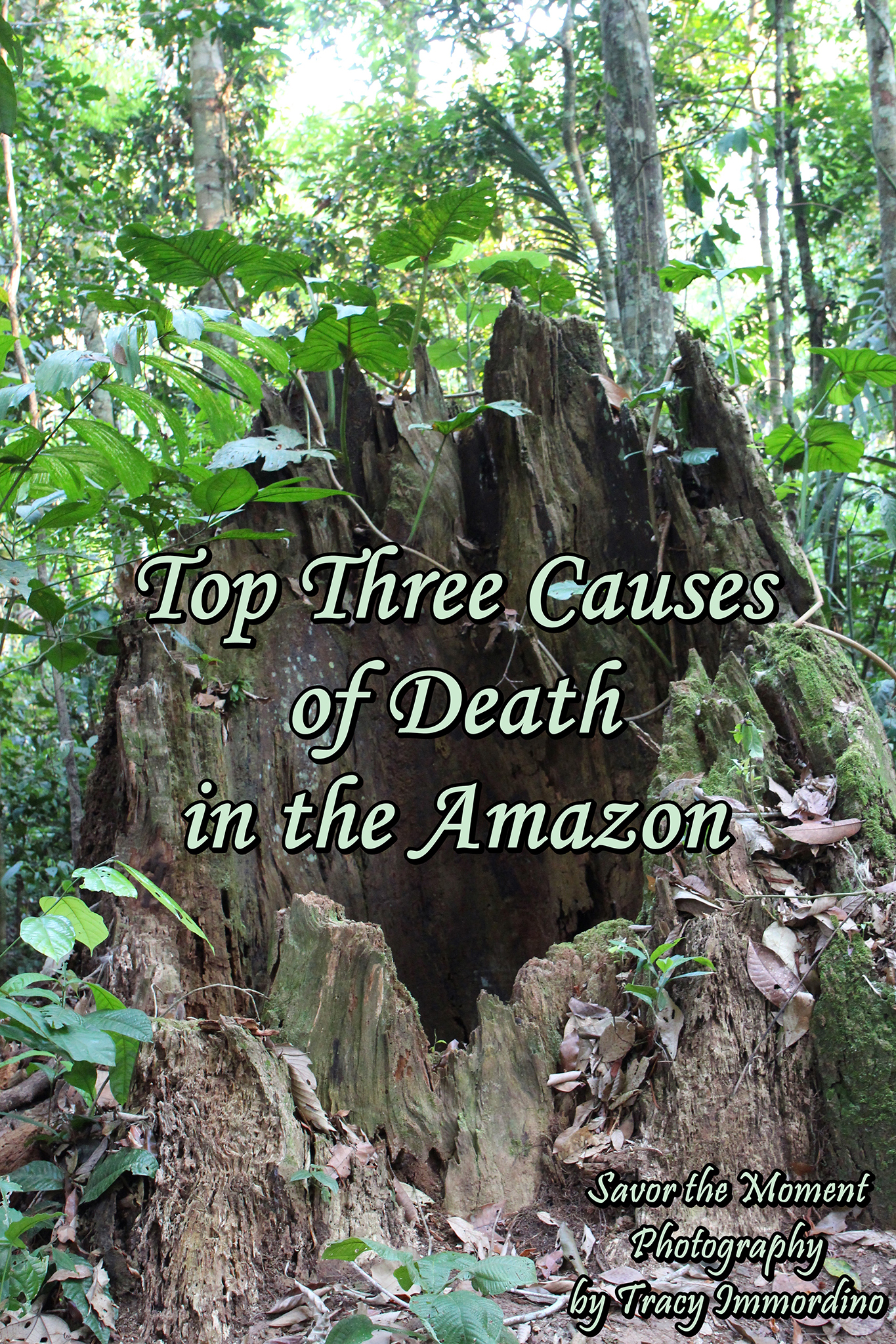 Top Three Causes of Death in the Amazon