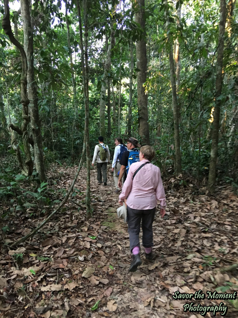 Amazon Rainforest Hike