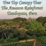 The Canopy Tower in Tambopata National Reserve, Peru