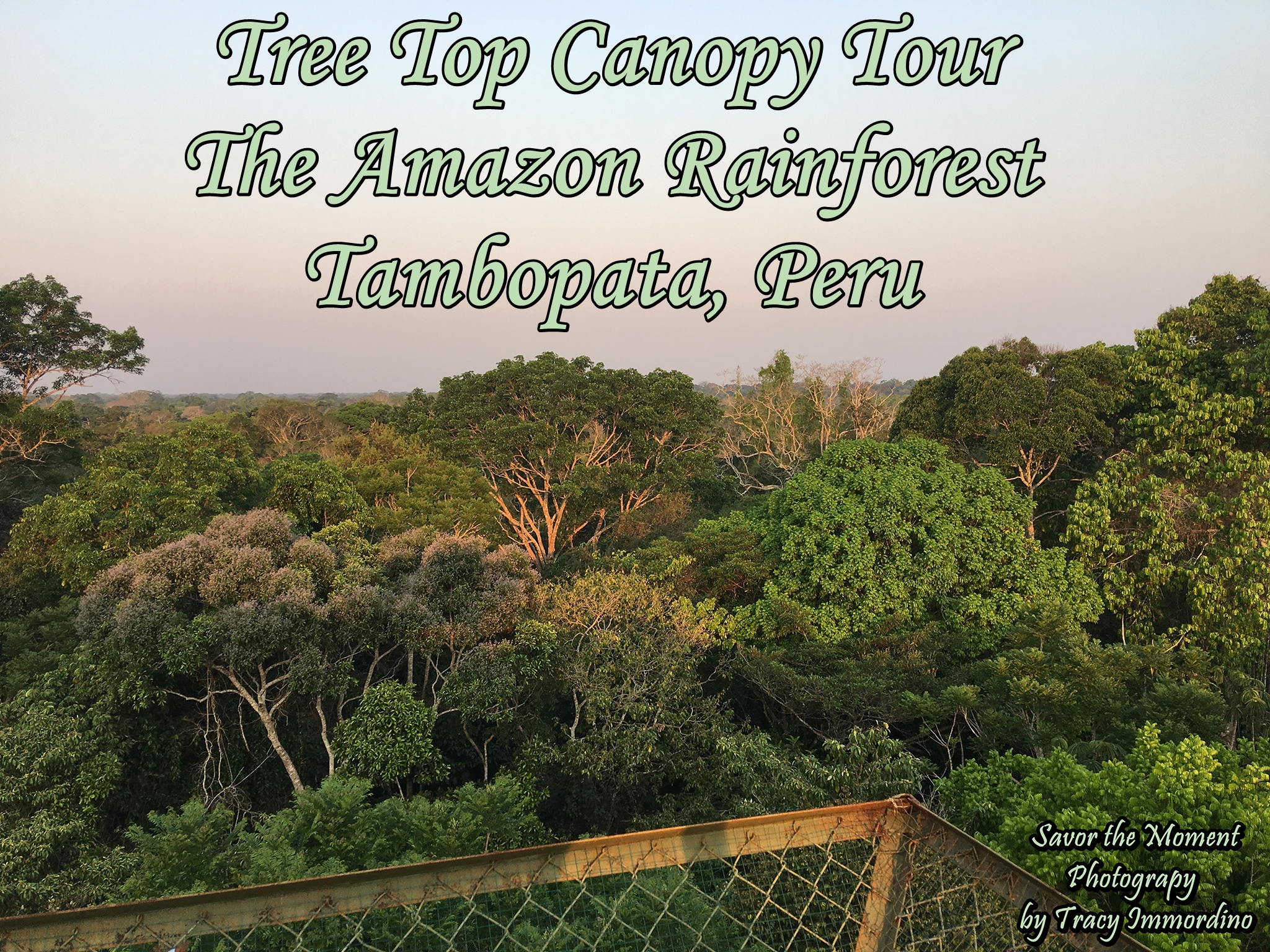 The Canopy Tower in Tambopata National Reserve, Peru