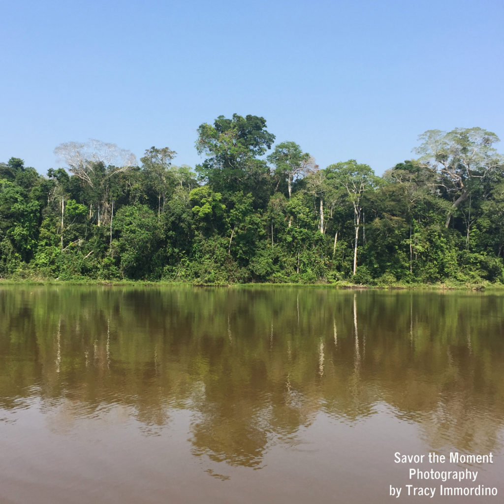 An Oxbow Lake in the Amazon Rainforest