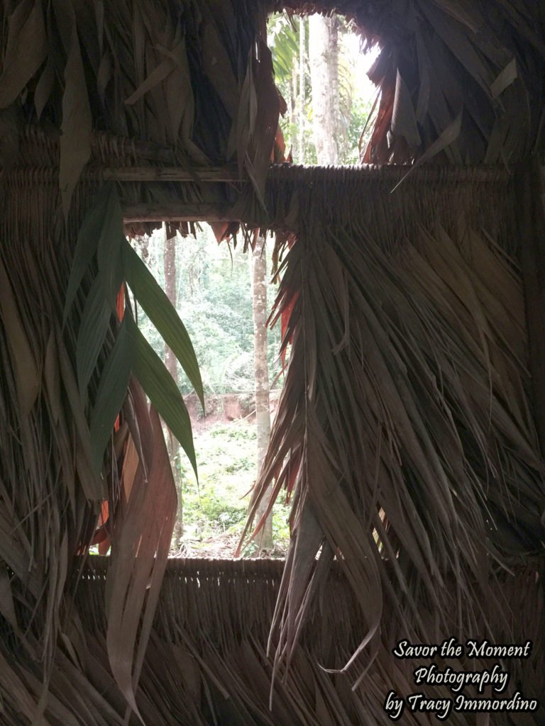 Blind At Mammal Clay Lick in the Amazon Rainforest