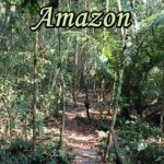 Hiking in the Amazon