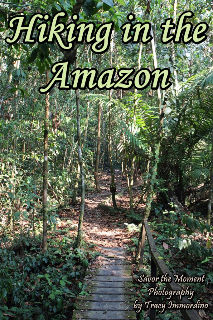 Hiking in the Amazon