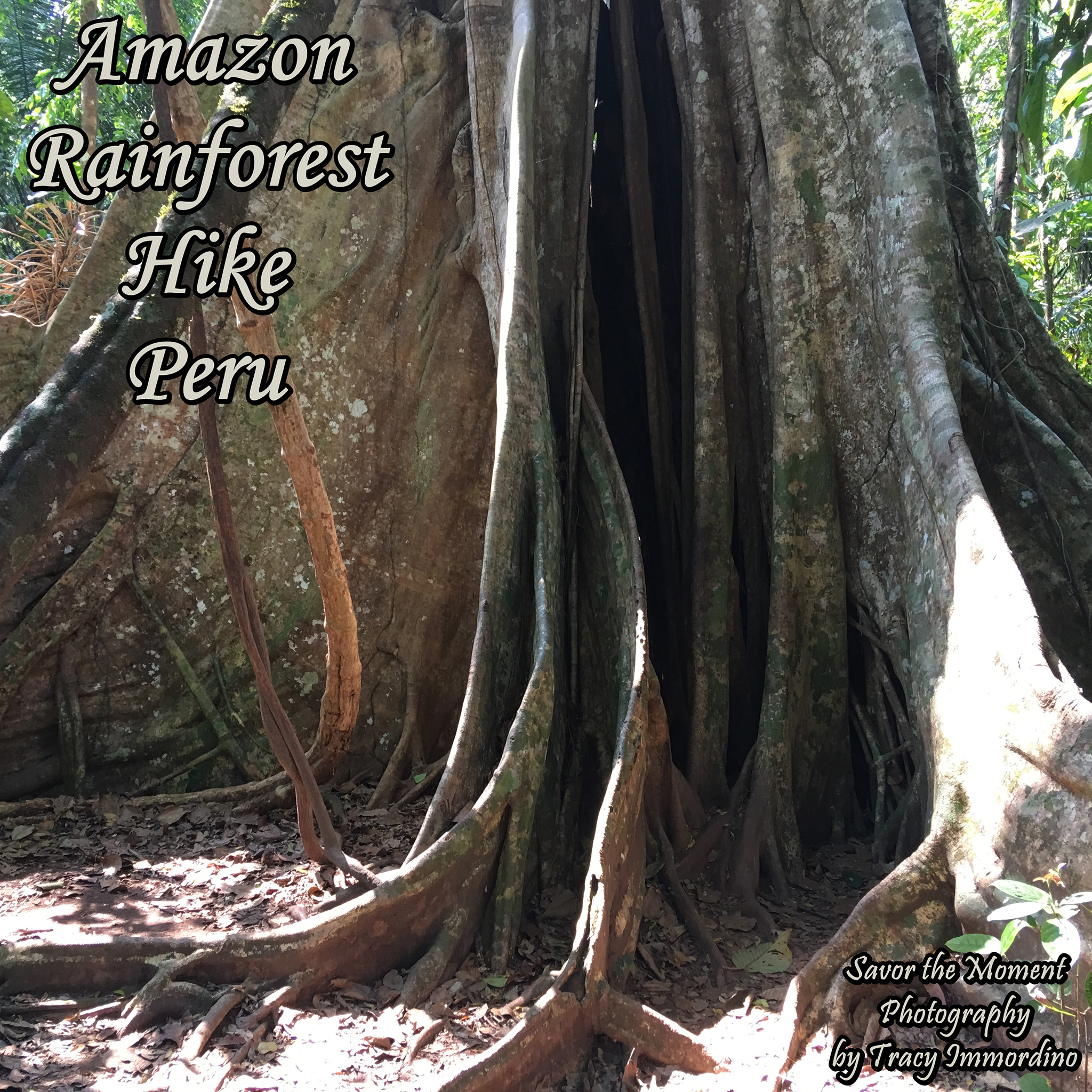 Amazon Rainforest Hike
