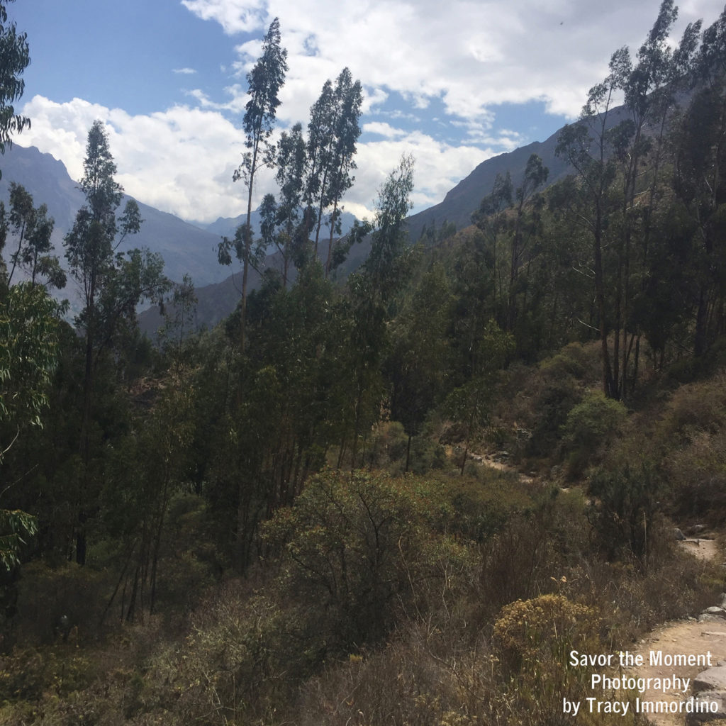 Patacancha Valley in Peru