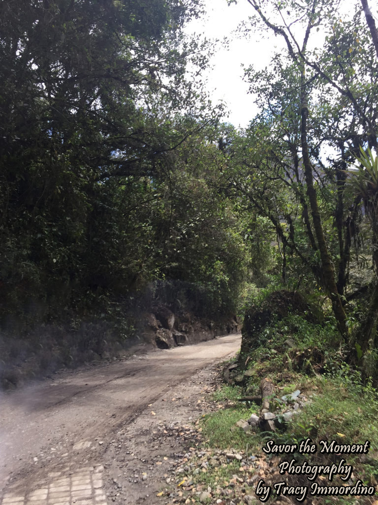 Bus Ride to Machu Picchu