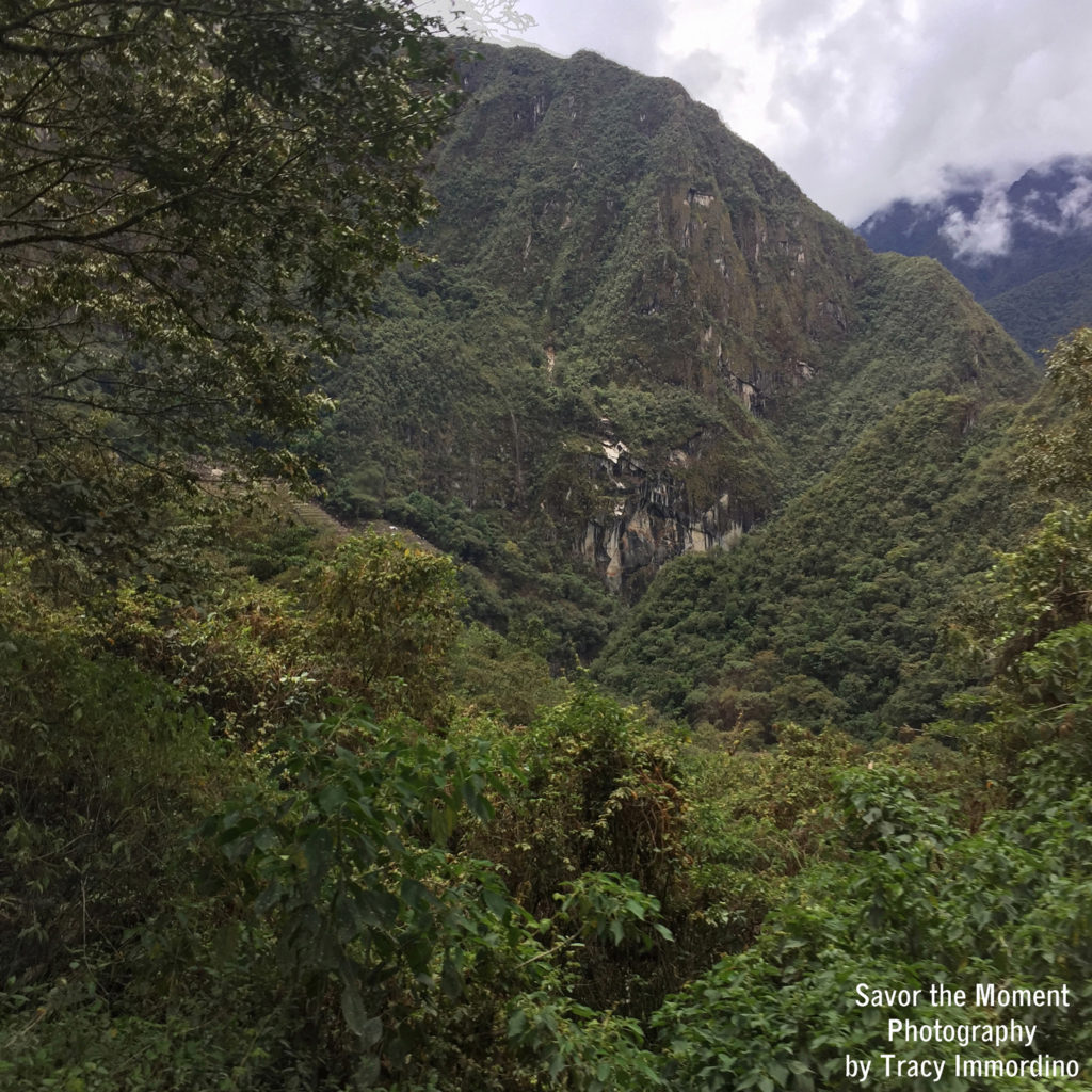 Bus Ride to Machu Picchu