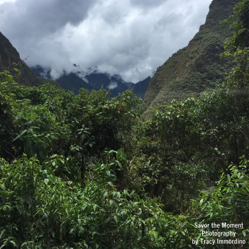 Bus Ride to Machu Picchu