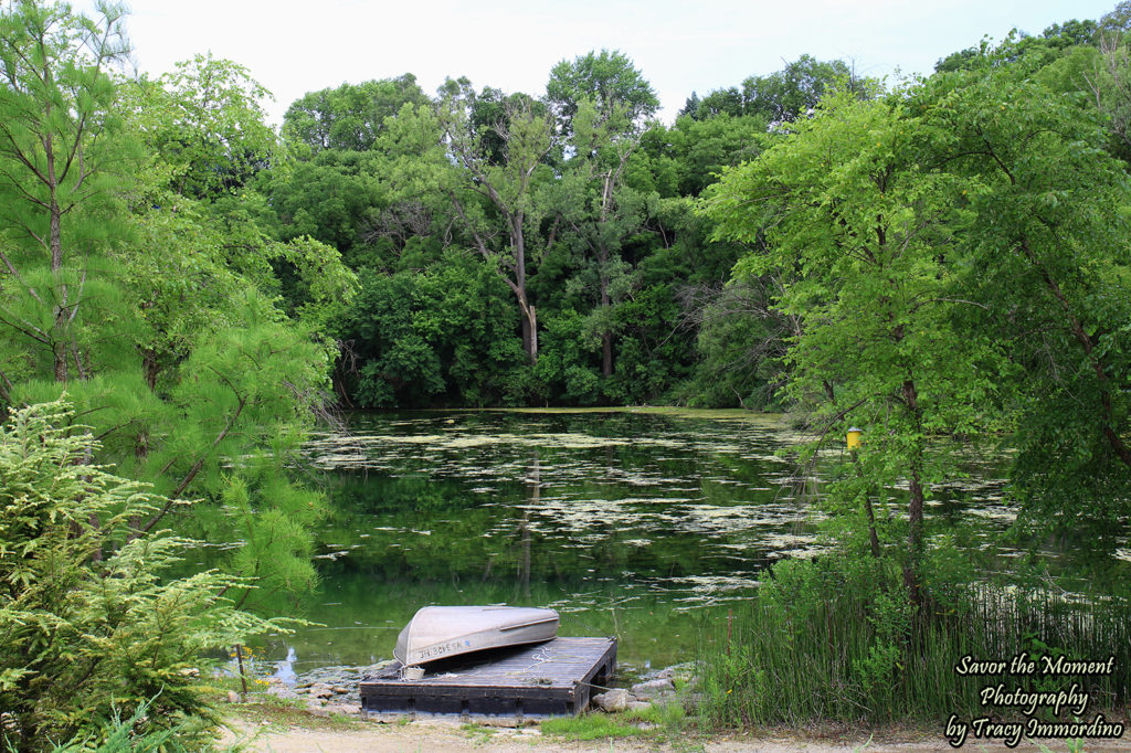 The Lake at Rotary Botanical Gardens in Janesville, Wisconsin