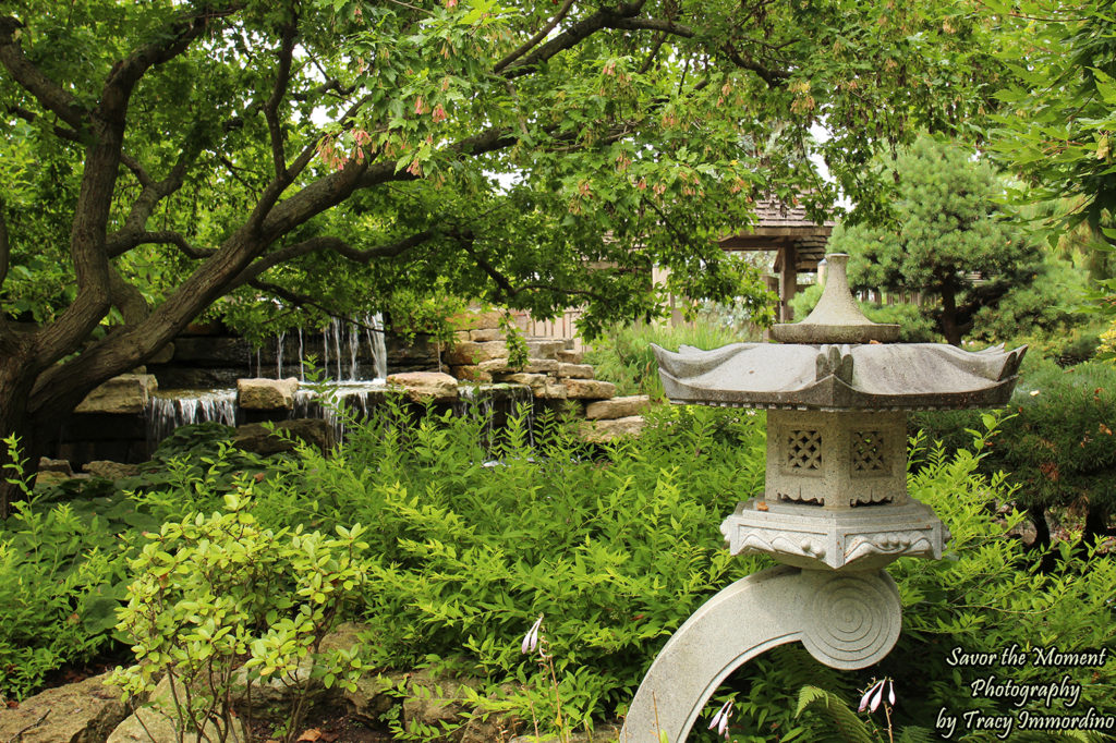 The Japanese Gardens at Rotary Botanical Gardens in Janesville, Wisconsin