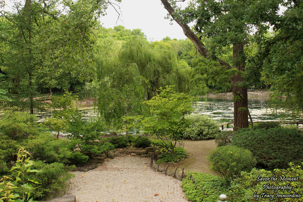 The Japanese Gardens at Rotary Botanical Gardens in Janesville, Wisconsin