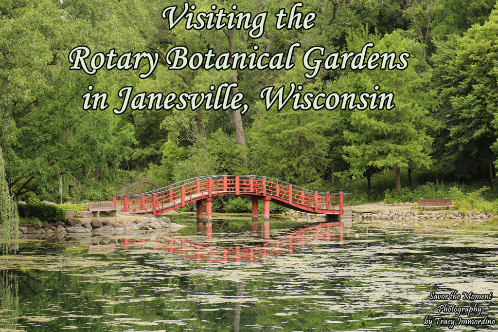 Visiting the Rotary Botanical Gardens in Janesville, Wisconsin