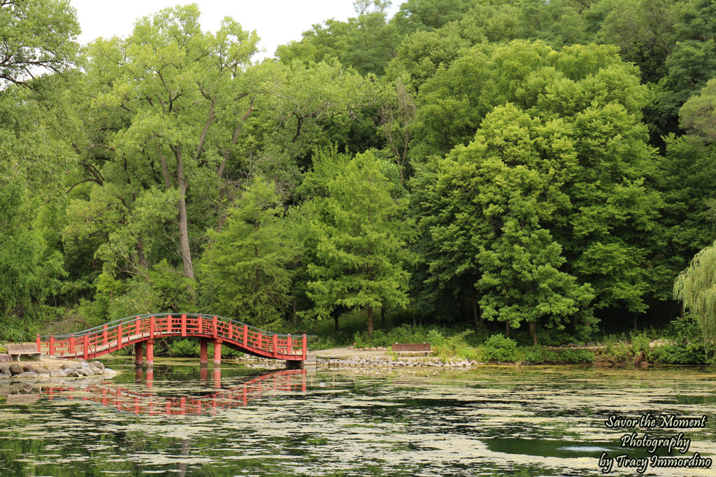 Lake at Rotary Botanical Gardens in Janesville, Wisconsin
