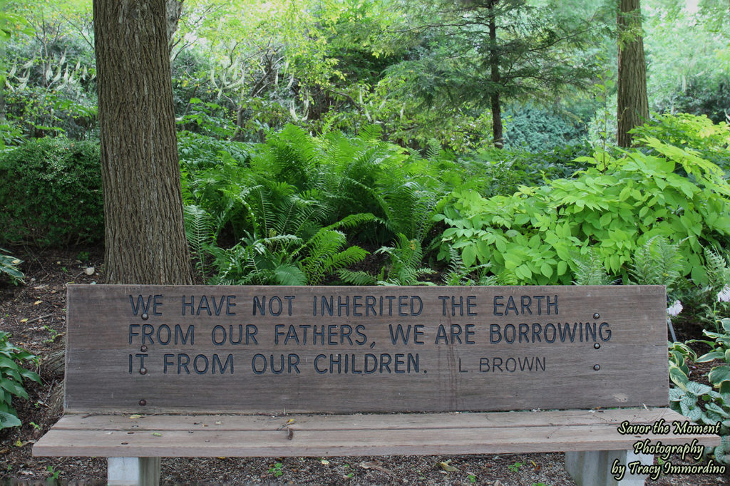 Memorial Bench at Rotary Botanical Gardens in Janesville, Wisconsin