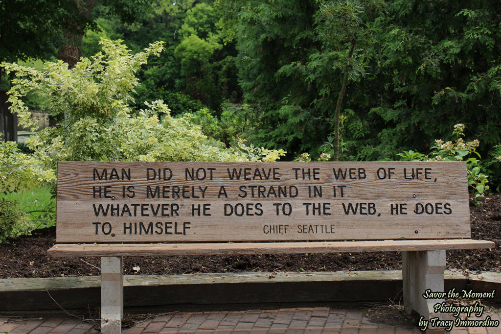 Memorial Bench at Rotary Botanical Gardens in Janesville, Wisconsin