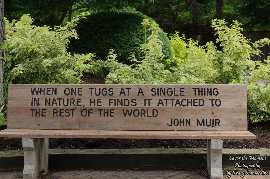 Memorial Bench at Rotary Botanical Gardens in Janesville, Wisconsin