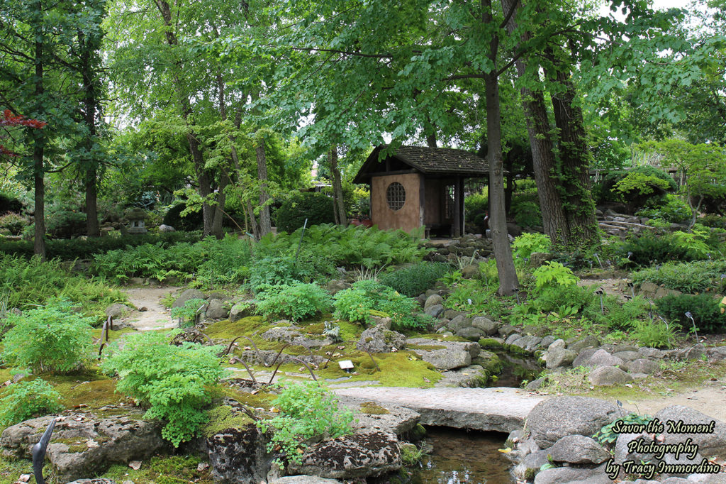 The Fern and Moss Garden at Rotary Botanical Gardens in Janesville, Wisconsin