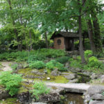 The Fern and Moss Garden at Rotary Botanical Gardens in Janesville, Wisconsin