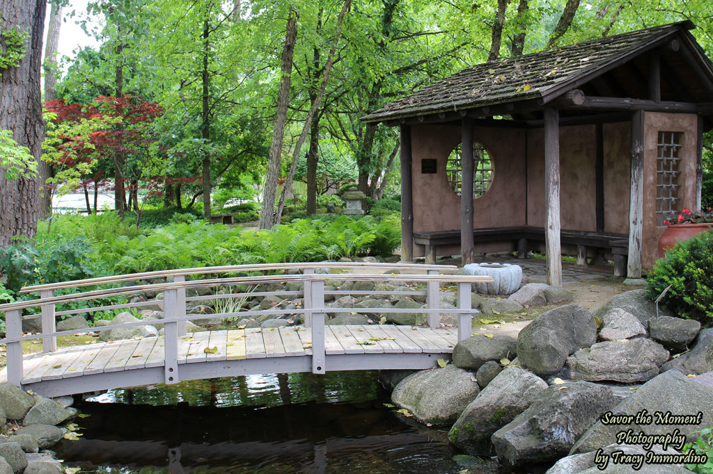 The Fern and Moss Garden at Rotary Botanical Gardens in Janesville, Wisconsin