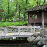 The Fern and Moss Garden at Rotary Botanical Gardens in Janesville, Wisconsin