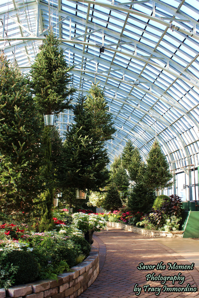 Christmas Display in the Show House of the Garfield Park Conservatory