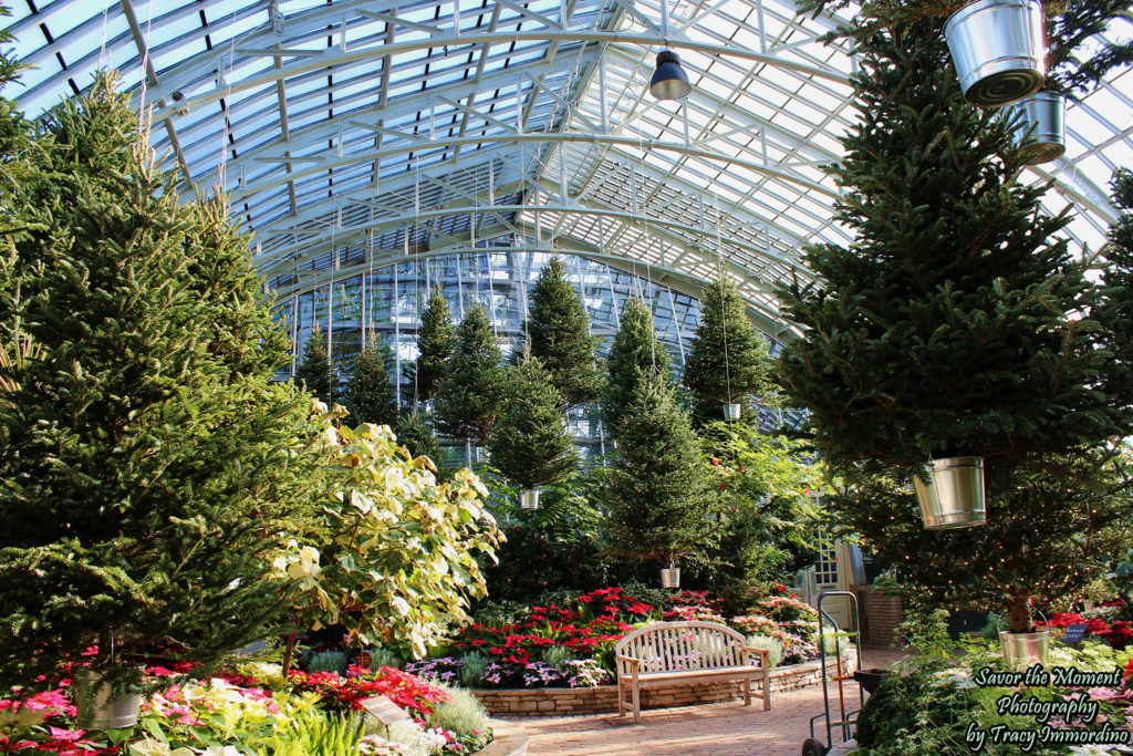 Christmas Display in the Show House of the Garfield Park Conservatory