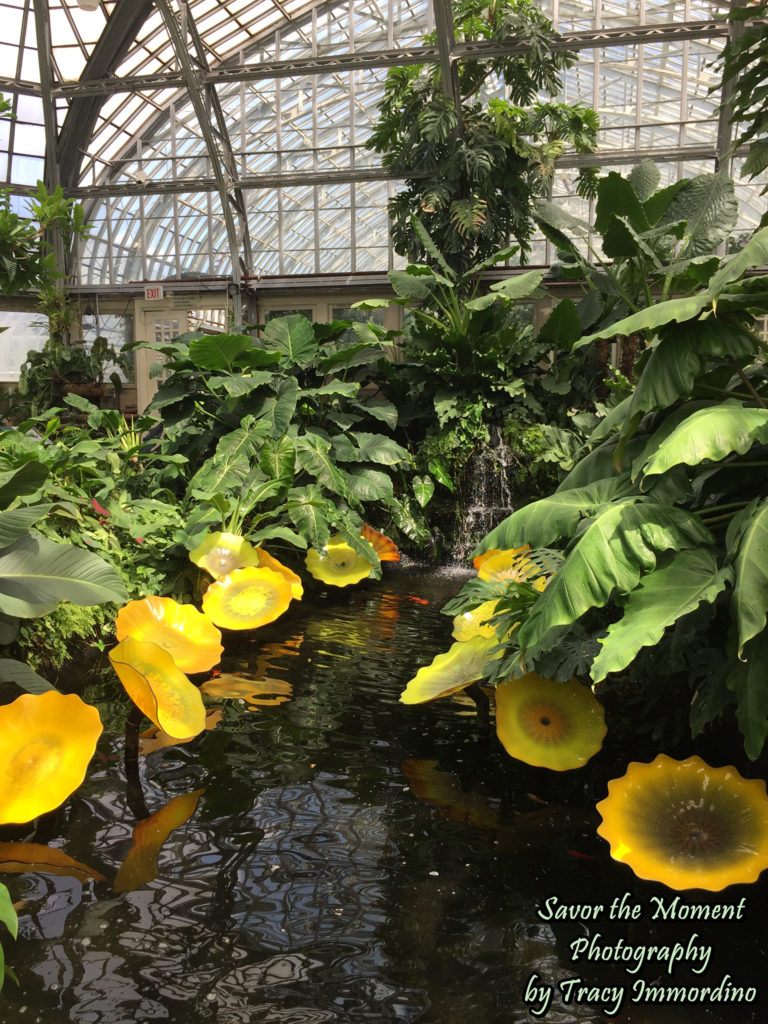 A Chihuly Exhibit in the Aroid House at Garfield Park Conservatory in Chicago