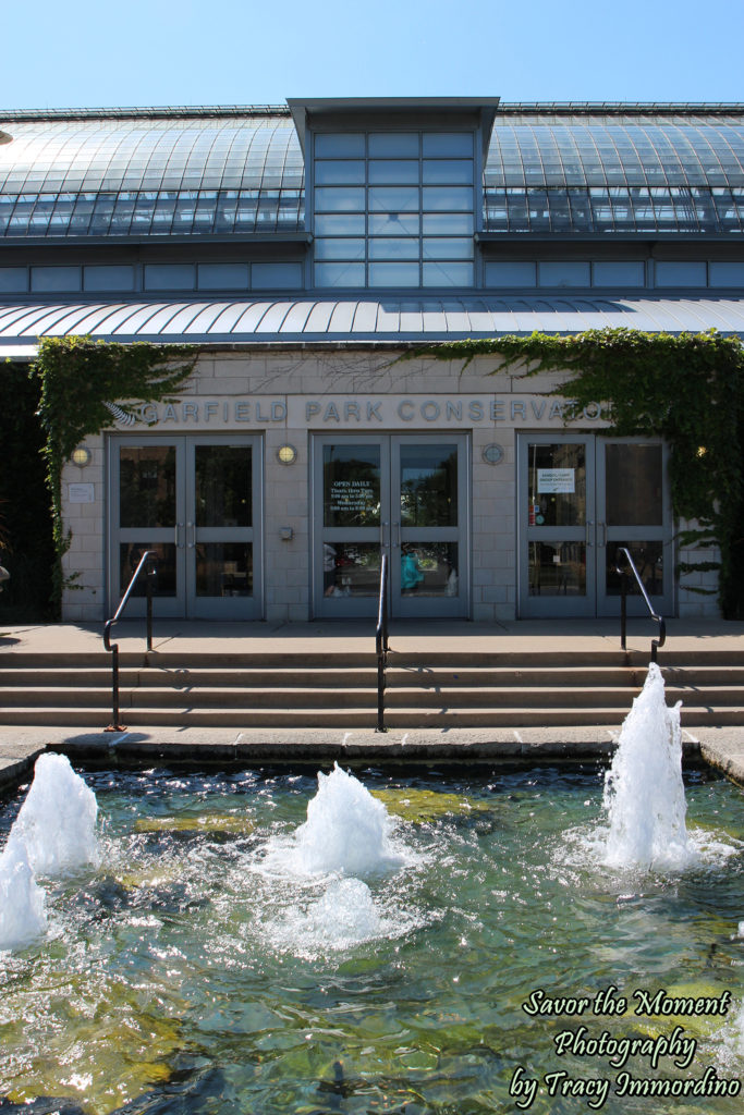 Garfield Park Conservatory in Chicago