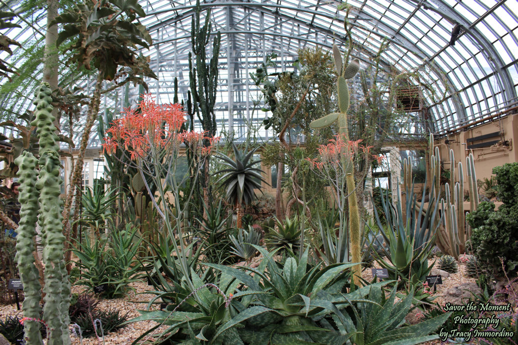 The Desert House at Garfield Park Conservatory in Chicago