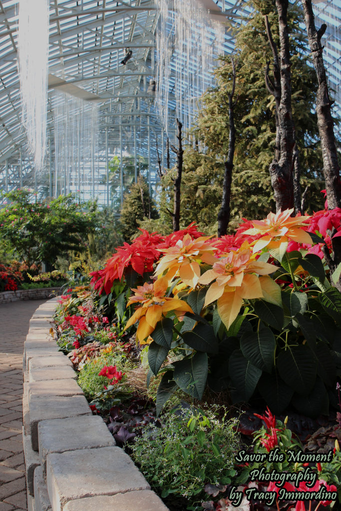 Christmas Display in the Show House of the Garfield Park Conservatory