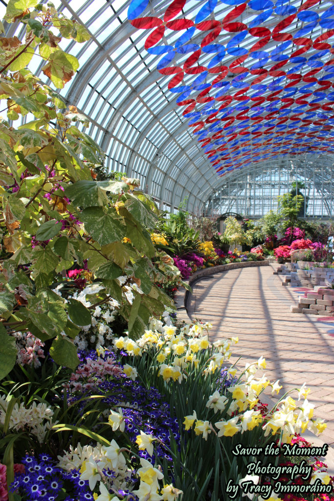 The Spring Flower Show at Garfield Park Conservatory