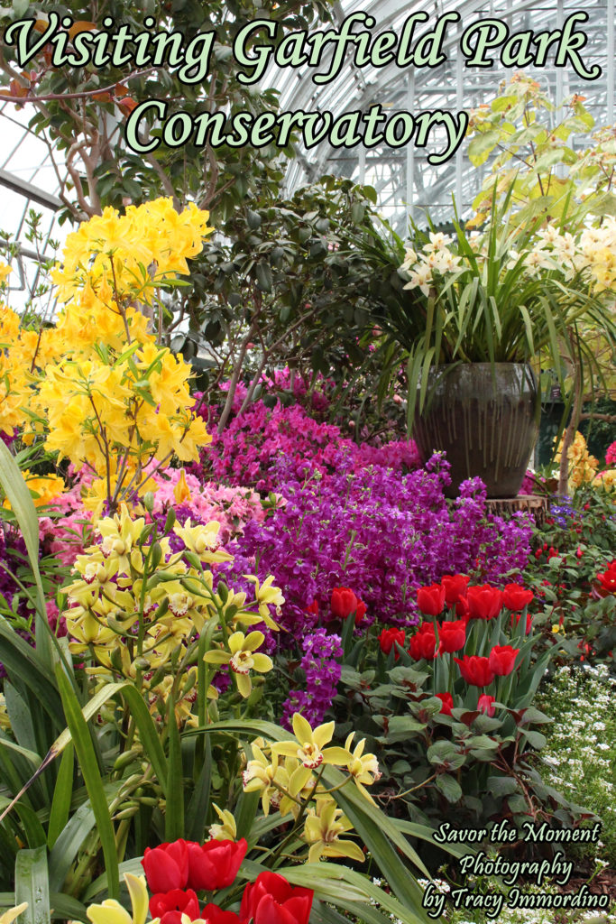 Visiting Garfield Park Conservatory