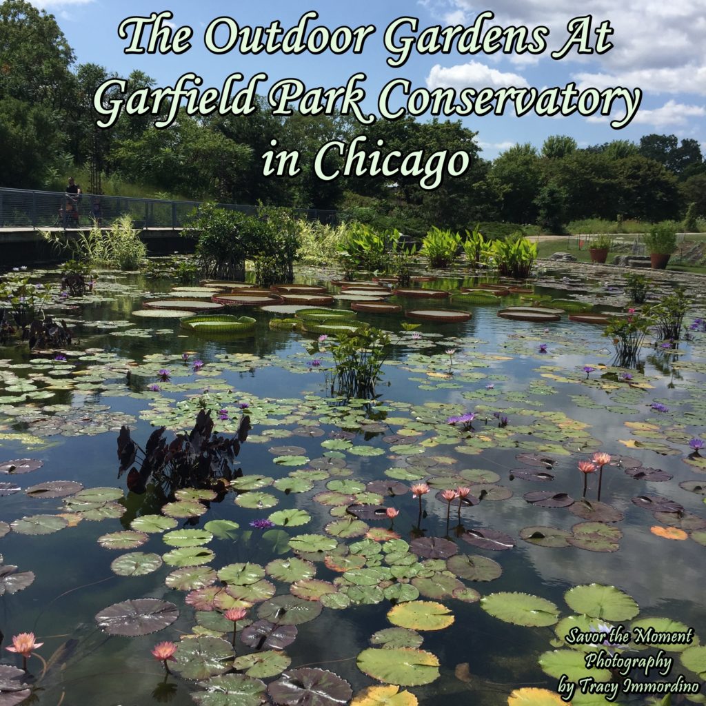 The Outdoor Gardens at Garfield Park Conservatory in Chicago