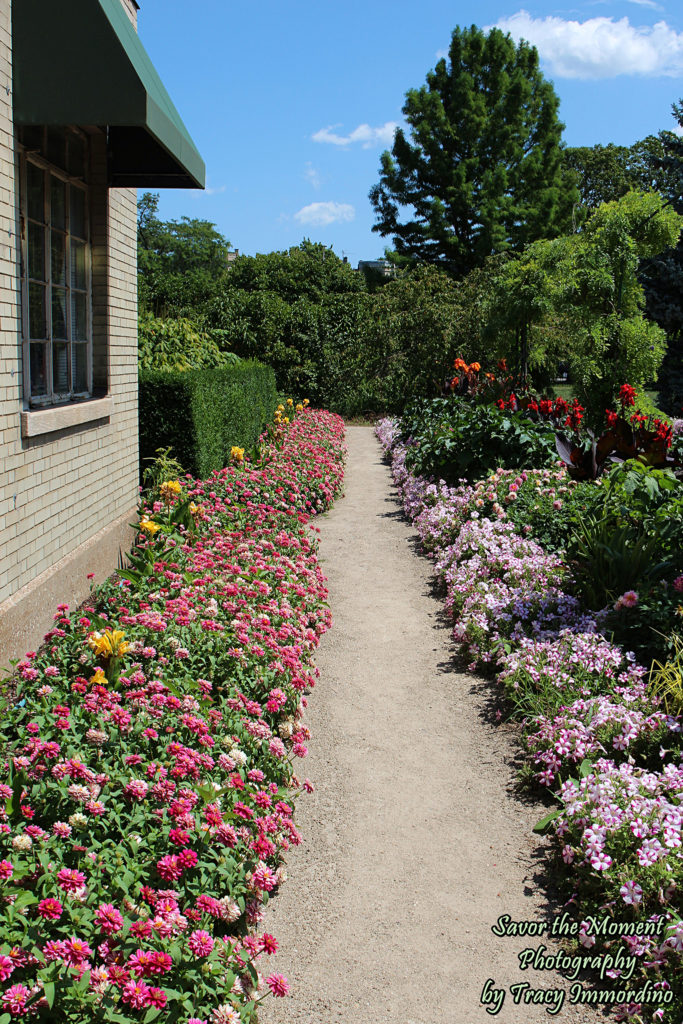 The Artist's Garden at Garfield Park Conservatory in Chicago