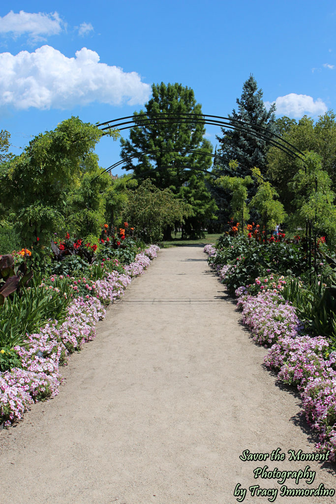 The Artist's Garden at Garfield Park Conservatory in Chicago