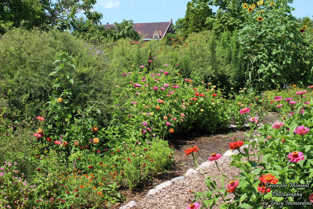 The City Garden at Garfield Park Conservatory in Chicago, Illinois