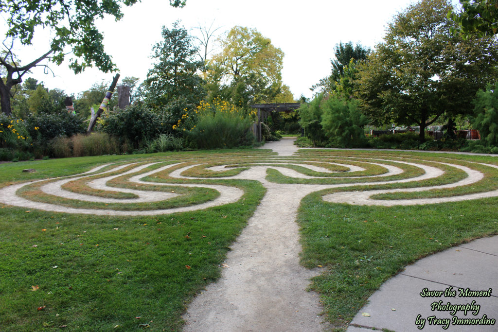 The Sensory Garden at Garfield Park Conservatory in Chicago