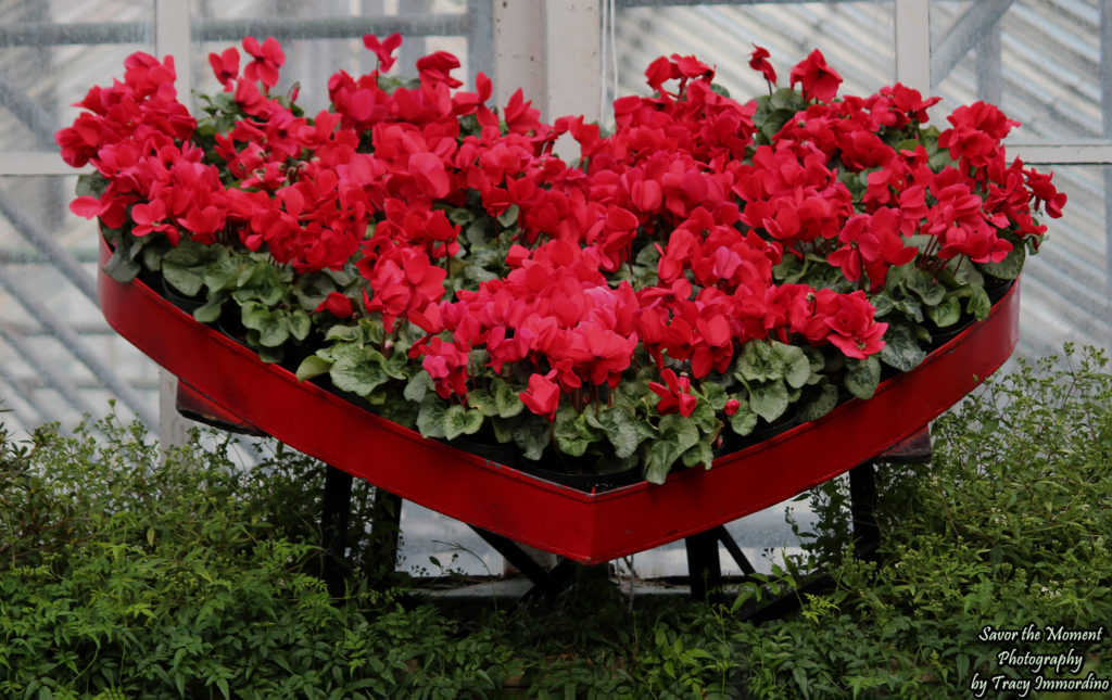 The Show House at Lincoln Park Conservatory in Chicago