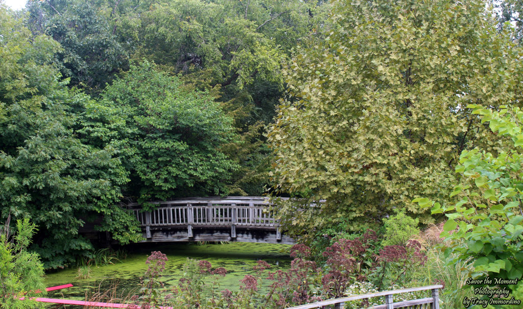 Lussier Bridge at Olbrich Botanical Gardens