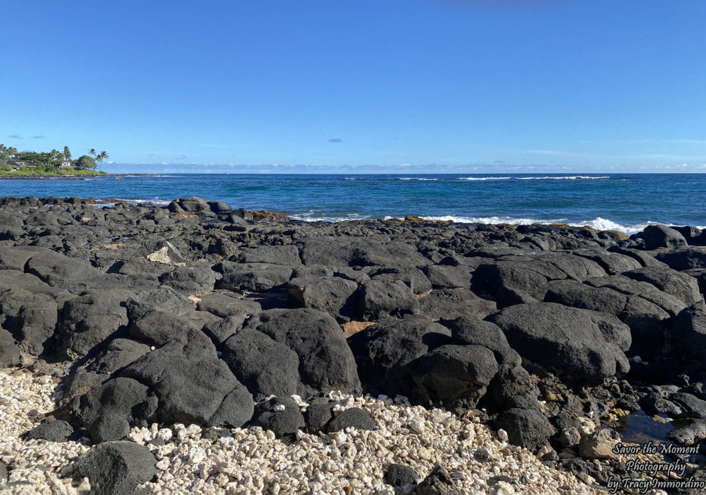 Tide Pools Behind Kuhio Shores