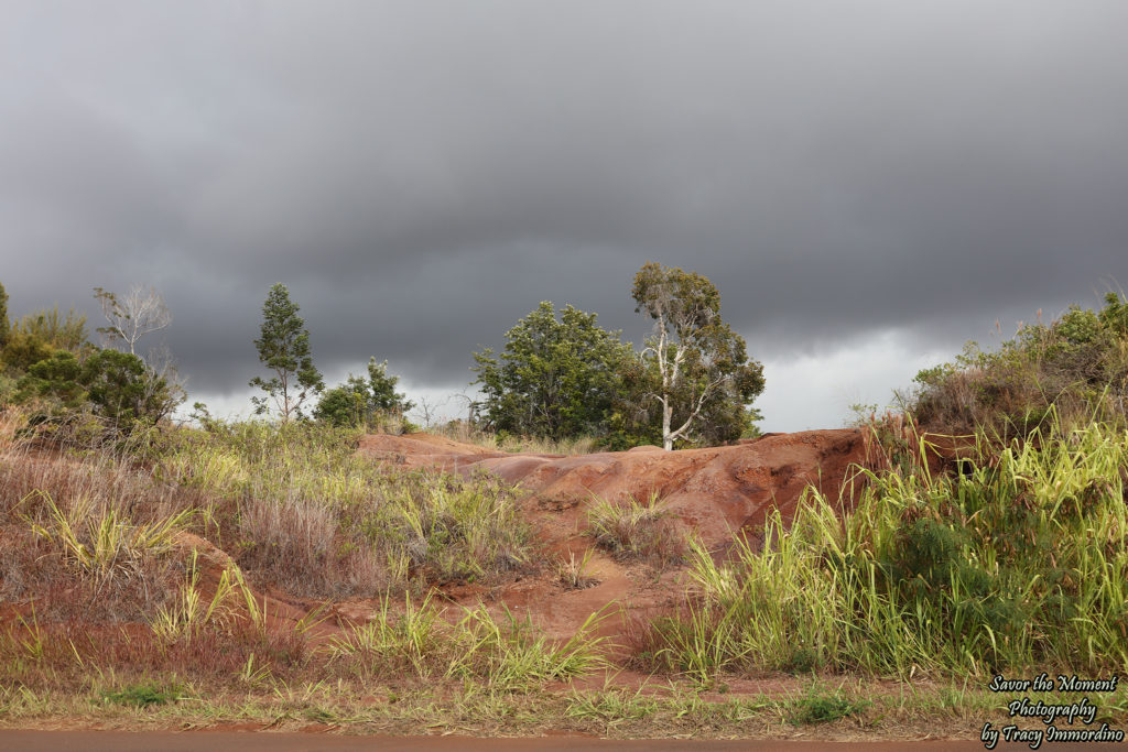 Pullout at Waimea Canyon State Park