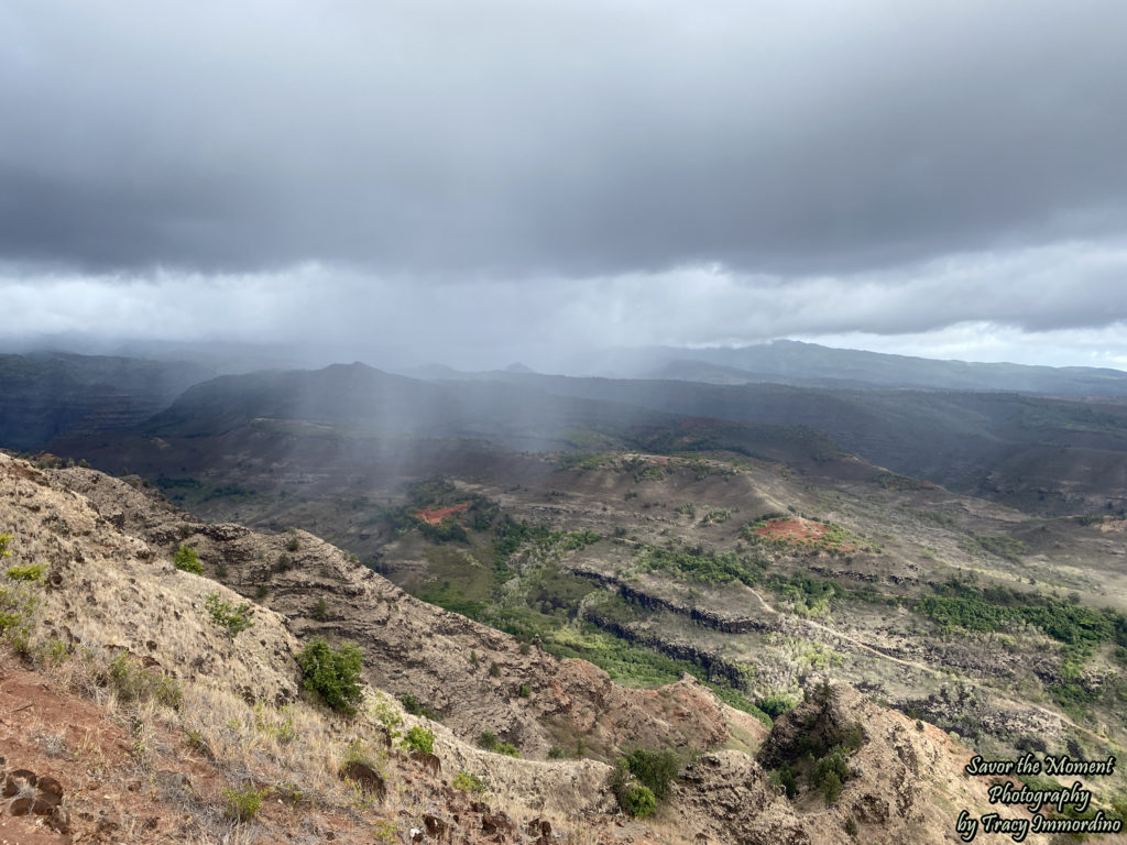 Pullout at Waimea Canyon State Park