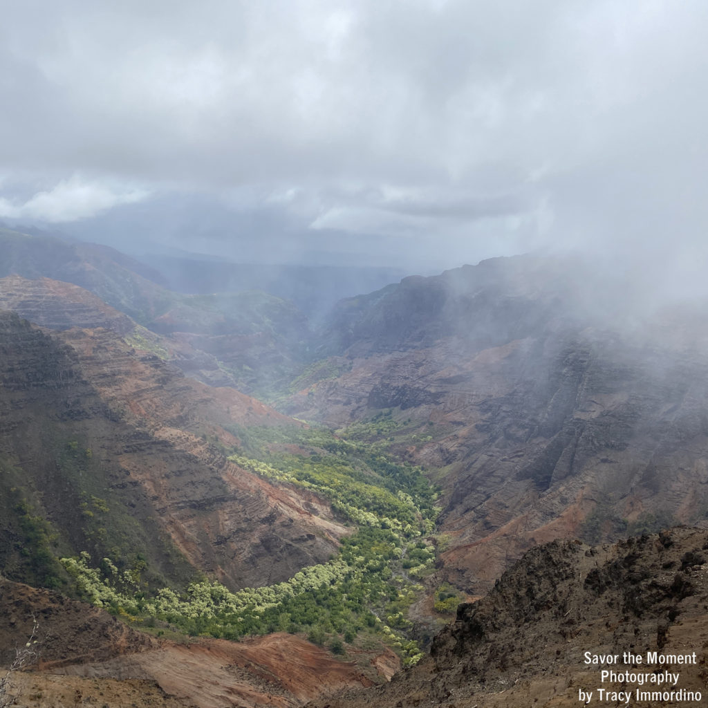 Pu'u Hinahina Lookout