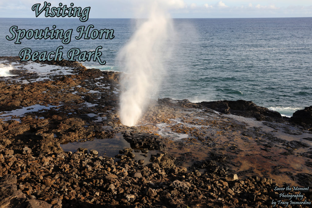 Spouting Horn Beach Park