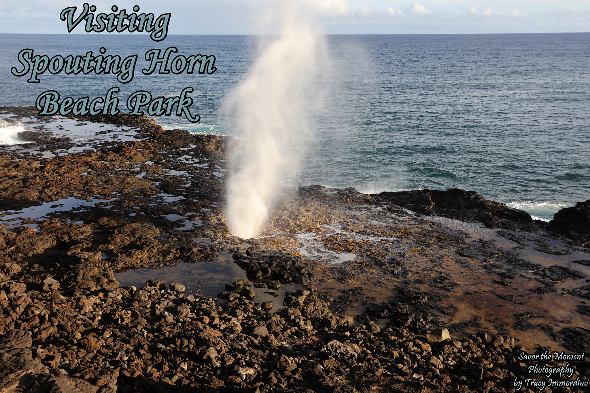 Spouting Horn Beach Park