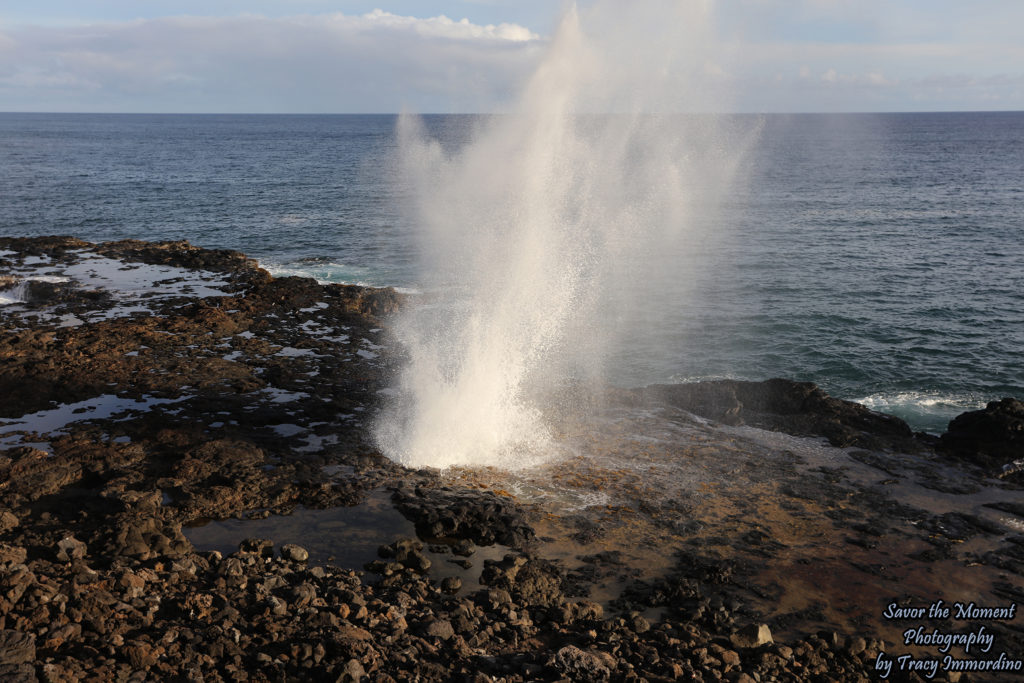 Spouting Horn