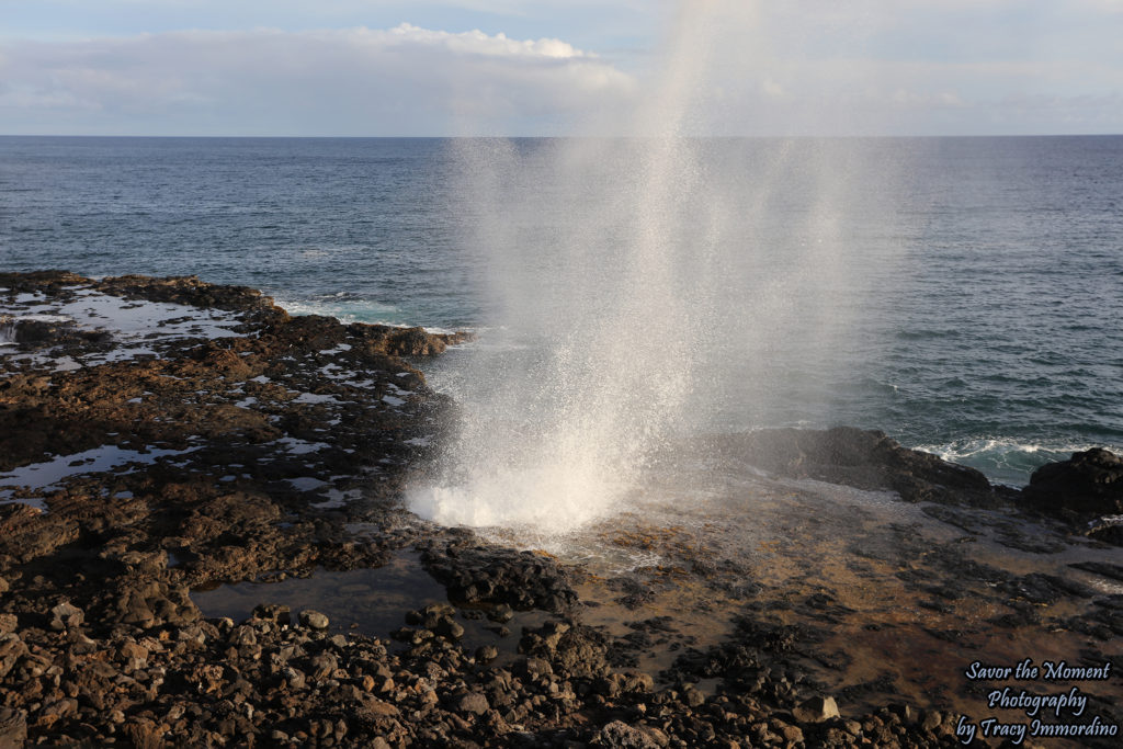 Spouting Horn