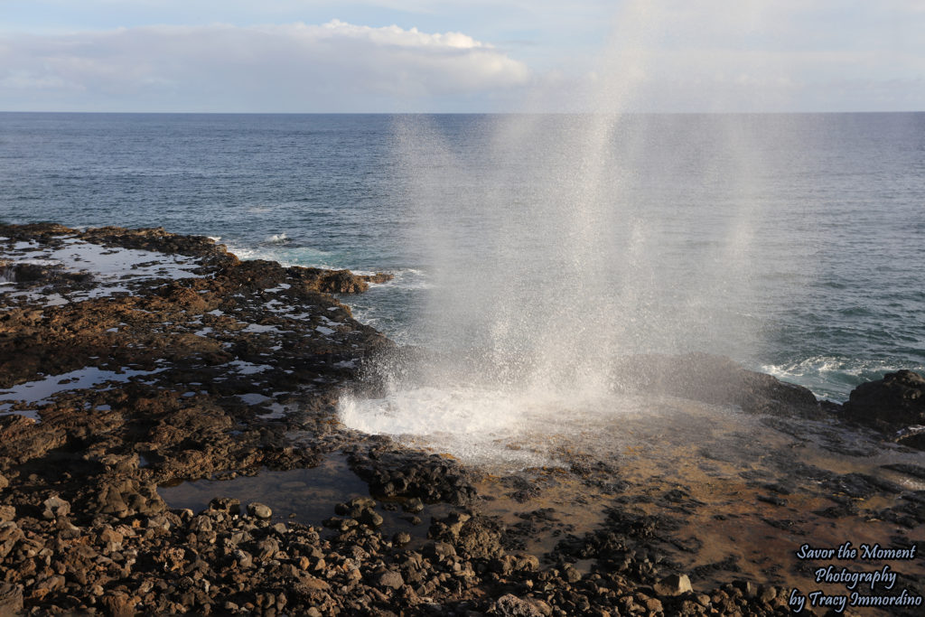 Spouting Horn